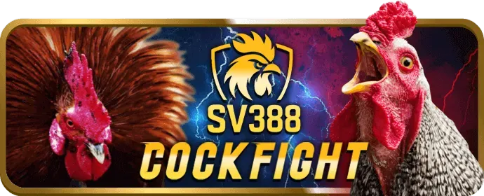 Hoàn trả cược nc88